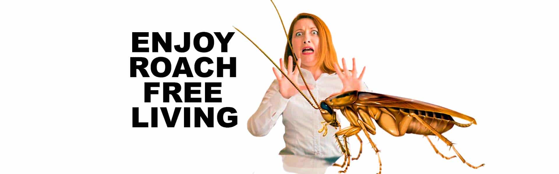 Roach Pest Control in Tulsa Oklahoma