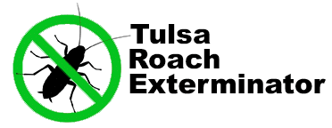 Tulsa Roach Exterminator